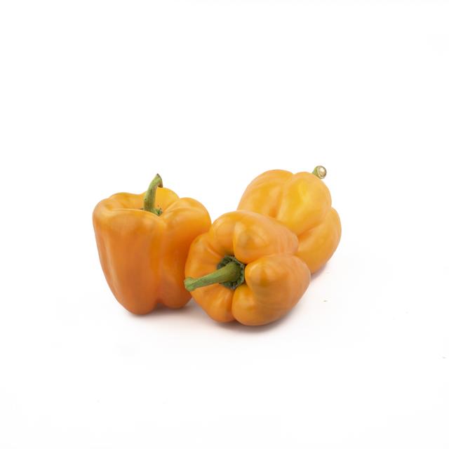 Paprika Oranje