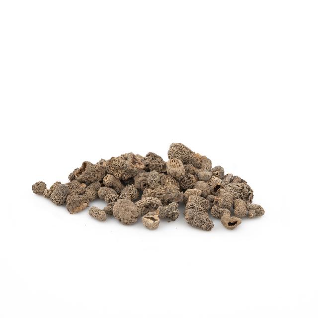 Morilles gedroogd extra, bus