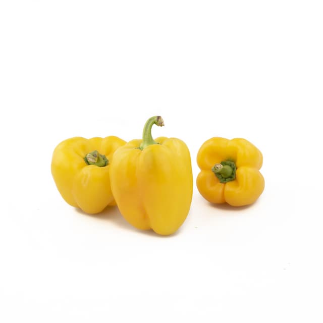 Paprika Geel 80/100
