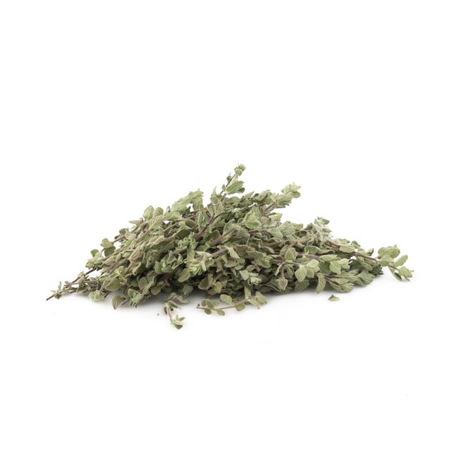 Oregano