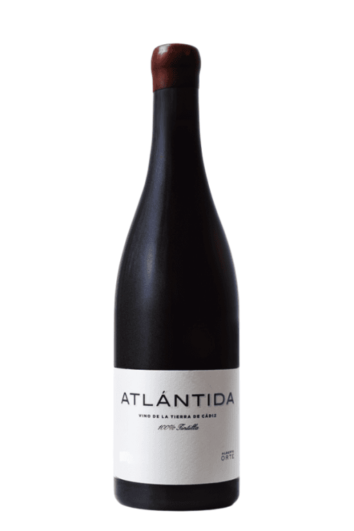 Alberto Orte Atlantida Tinto