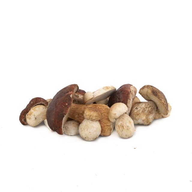 Cepes (Eekhoorntjesbrood )