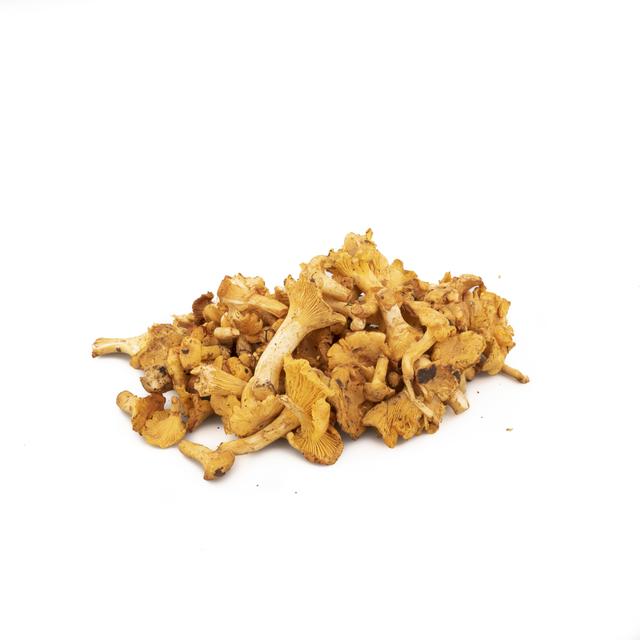 Cantharel Girolles