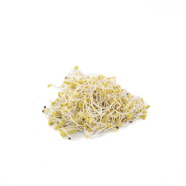 Radijsscheuten (100gr)