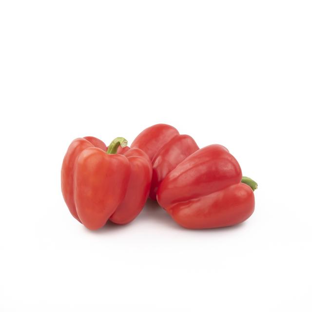Paprika Rood 80/100