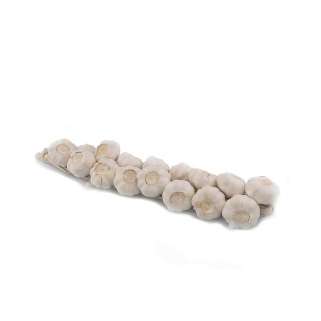 Knoflook streng wit