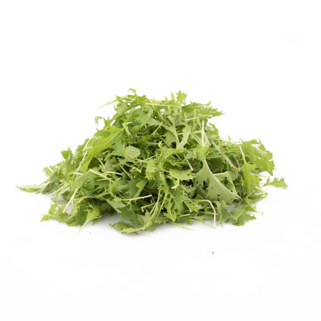 Mizuna Groen